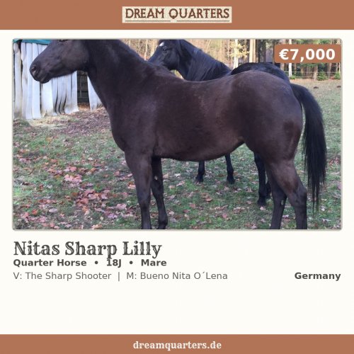 Nitas Sharp Lilly