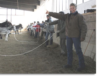 Eselkurs in Bad Wörrishofen