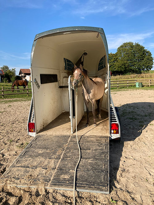 Kienbergs Diamond Deluxe